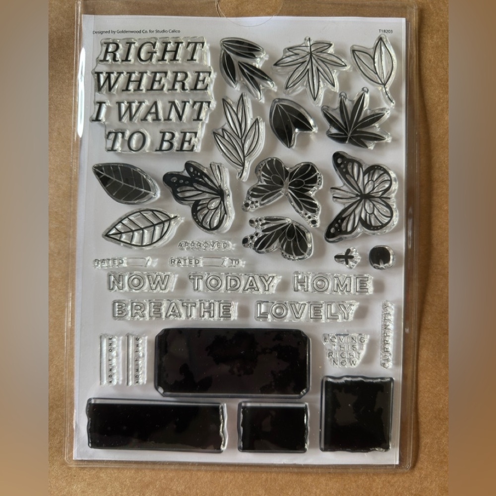 New Studio Calico 6x8 Stamp Set